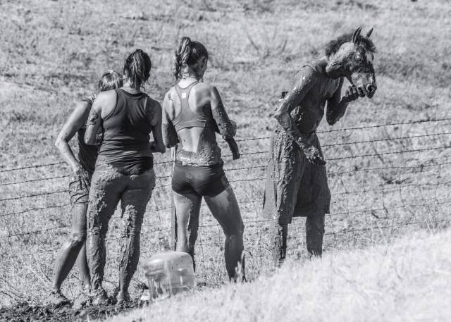 daily picdump 93 pics 36.html - 93 HD Photos | Premium Gallery 2018