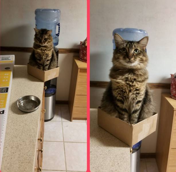 daily picdump 93 pics 36.html - 93 HD Photos | Premium Gallery 2018