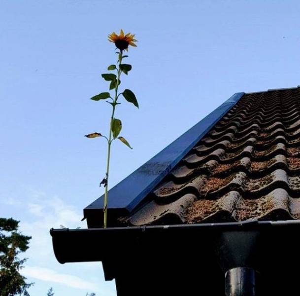 daily picdump 93 pics 36.html - 93 HD Photos | Premium Gallery 2018