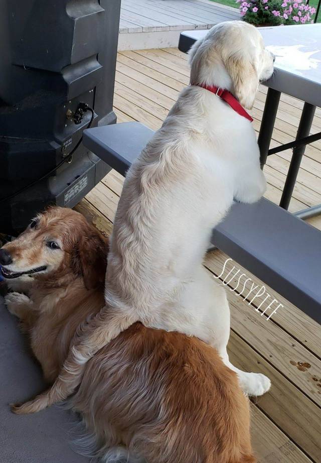 daily picdump 93 pics 36.html - 93 HD Photos | Premium Gallery 2018