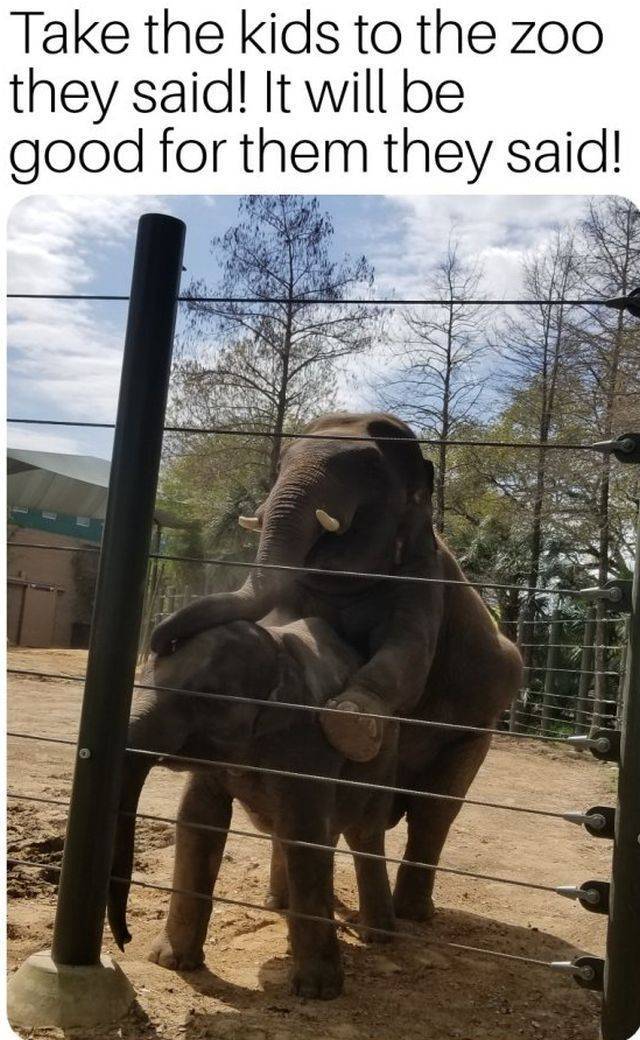 daily picdump 93 pics 36.html - 93 HD Photos | Premium Gallery 2018