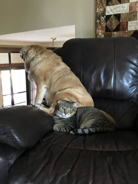 morning picdump 51 pics 9.html - 51 HD Photos | Premium Gallery 2018