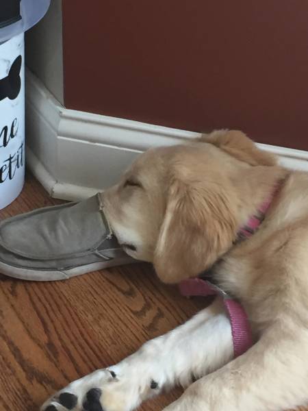 morning picdump 51 pics 9.html - 51 HD Photos | Premium Gallery 2018