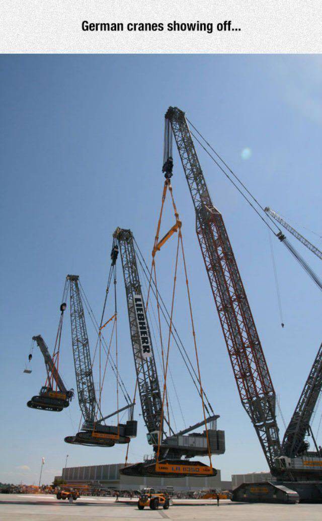 morning picdump 51 pics 9.html - 51 HD Photos | Premium Gallery 2018