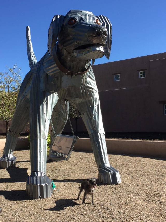 morning picdump 51 pics 9.html - 51 HD Photos | Premium Gallery 2018