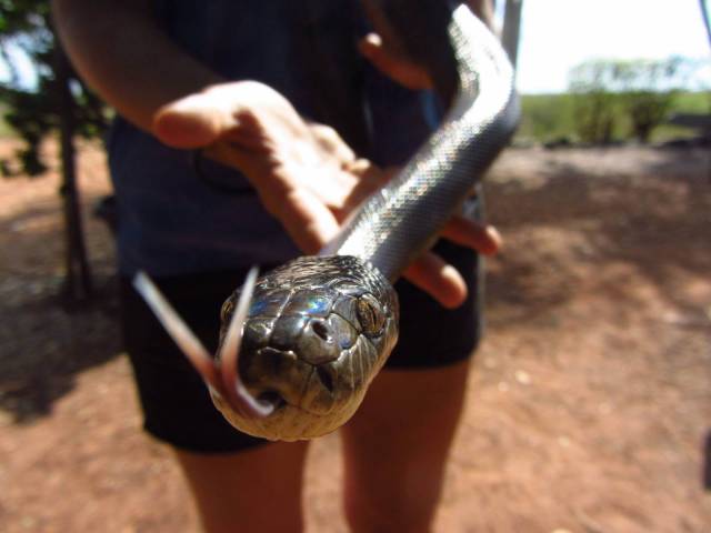 daily picdump 99 pics 47.html - 99 HD Photos | Premium Gallery 2018