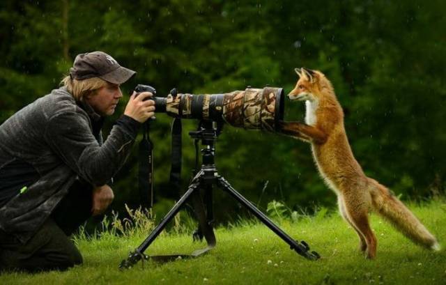 daily picdump 99 pics 47.html - 99 HD Photos | Premium Gallery 2018