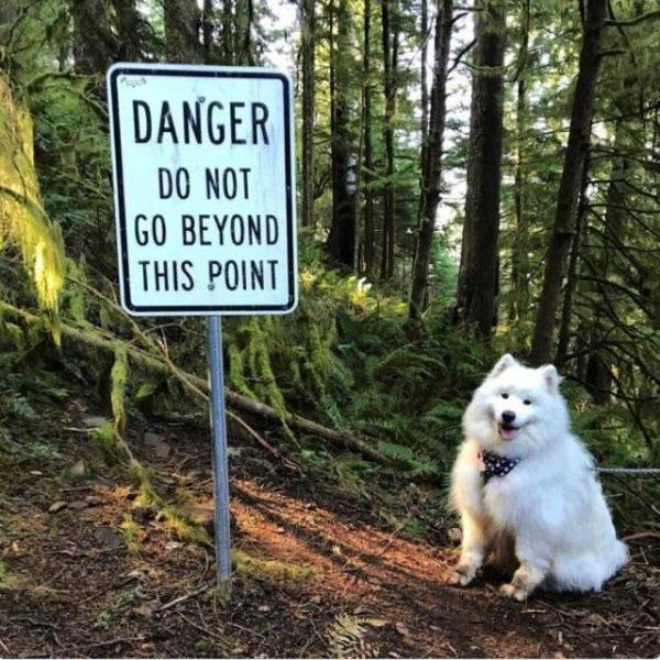 daily picdump 99 pics 47.html - 99 HD Photos | Premium Gallery 2018