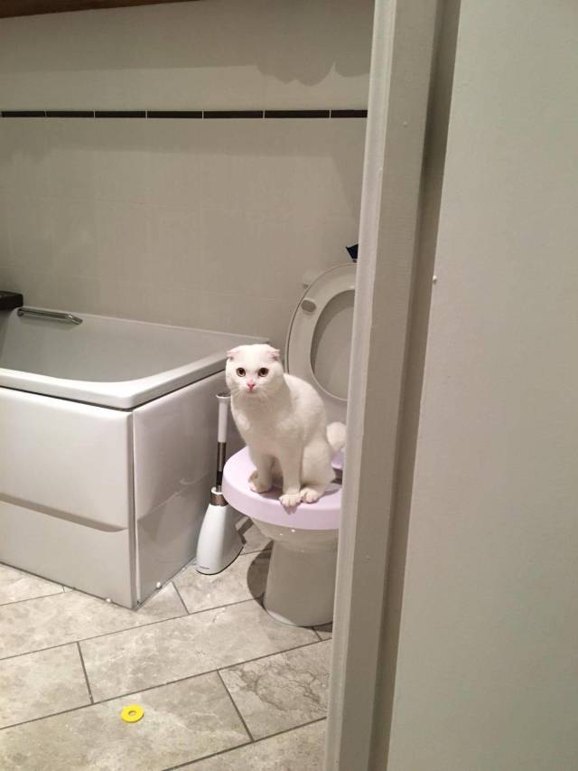 daily picdump 99 pics 47.html - 99 HD Photos | Premium Gallery 2018