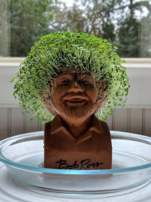 daily picdump 99 pics 47.html - 99 HD Photos | Premium Gallery 2018