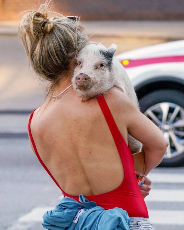 daily picdump 99 pics 47.html - 99 HD Photos | Premium Gallery 2018