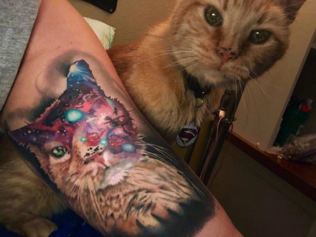 morning picdump 51 pics 21.html - 51 HD Photos | Premium Gallery 2018