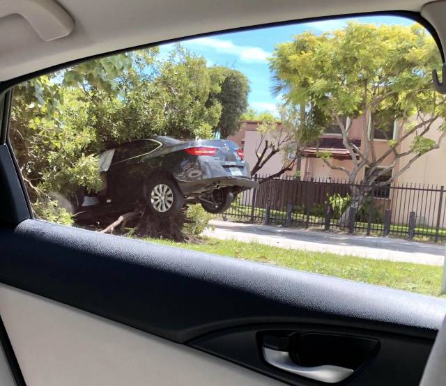 morning picdump 51 pics 21.html - 51 HD Photos | Premium Gallery 2018