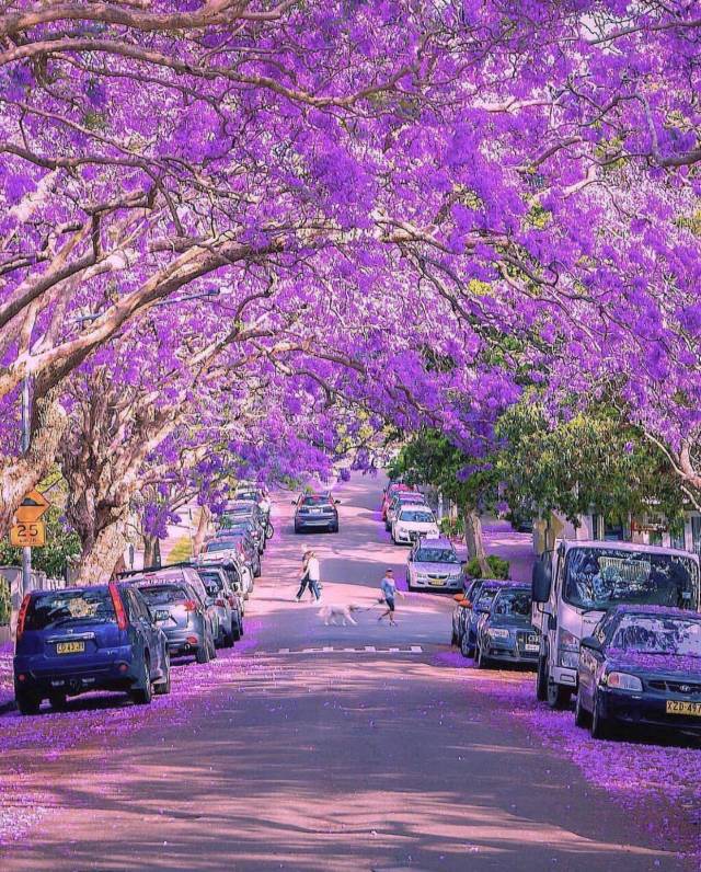 morning picdump 51 pics 21.html - 51 HD Photos | Premium Gallery 2018