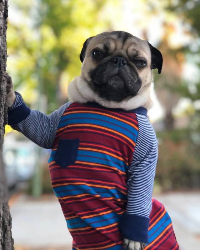 morning picdump 51 pics 21.html - 51 HD Photos | Premium Gallery 2018