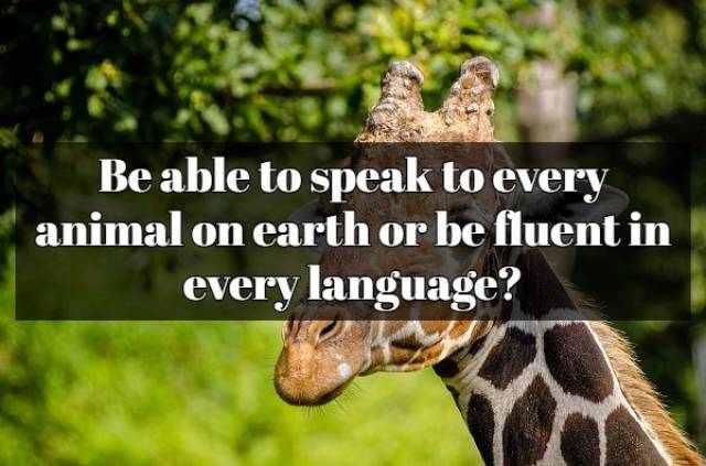 “Would You Rather?” Questions That Don’t Have Definite Answers