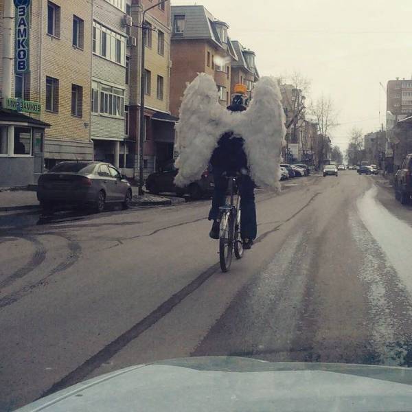 daily picdump 98 pics 11.html - 98 HD Photos | Premium Gallery 2018