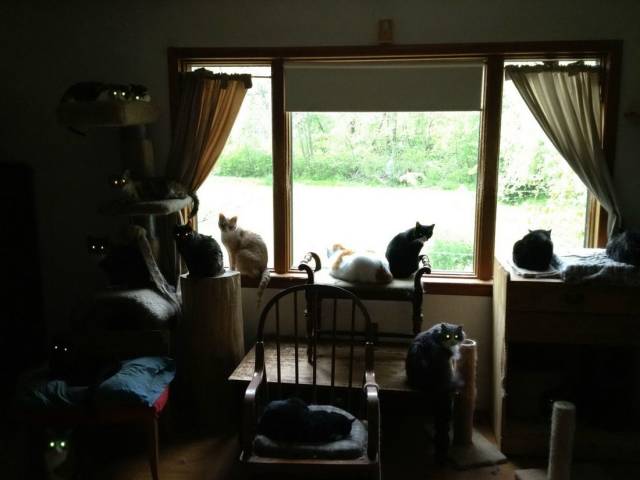 daily picdump 98 pics 11.html - 98 HD Photos | Premium Gallery 2018