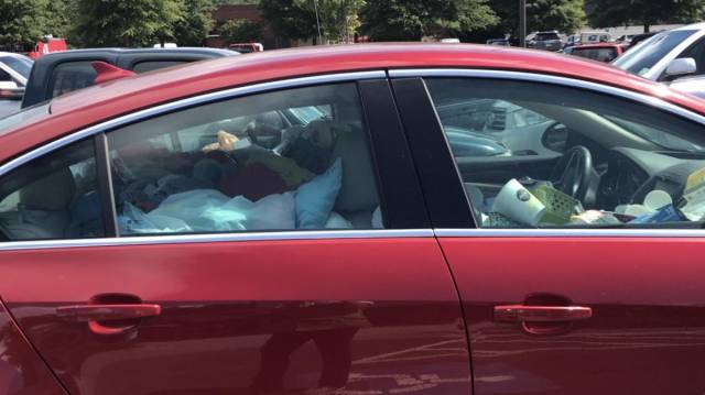 daily picdump 98 pics 11.html - 98 HD Photos | Premium Gallery 2018