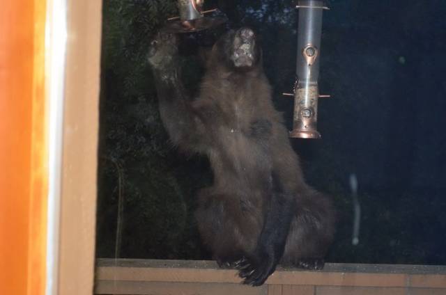 daily picdump 98 pics 11.html - 98 HD Photos | Premium Gallery 2018