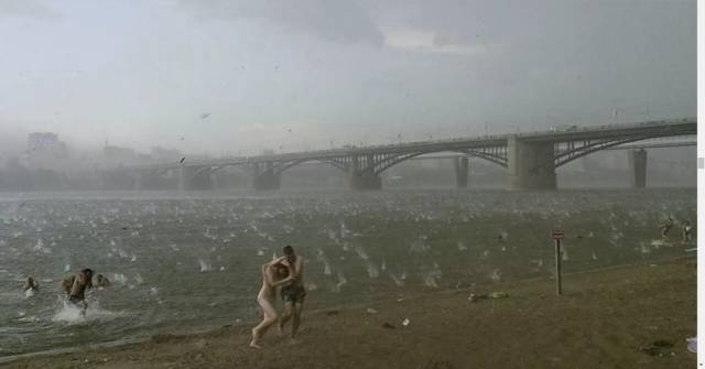 daily picdump 98 pics 11.html - 98 HD Photos | Premium Gallery 2018