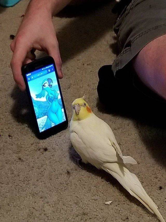 daily picdump 98 pics 11.html - 98 HD Photos | Premium Gallery 2018