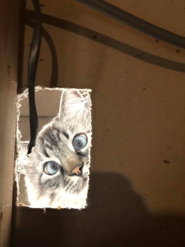 daily picdump weekend edition 76 pics 9.html - 76 HD Photos | Premium Gallery 2018