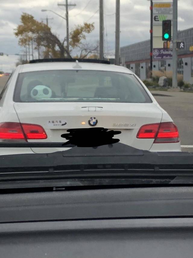 morning picdump 50 pics 13.html - 50 HD Photos | Premium Gallery 2018