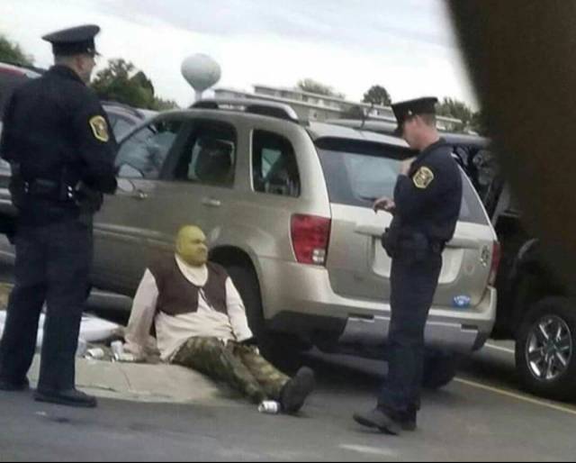daily picdump weekend edition 50 pics 12.html - 50 HD Photos | Premium Gallery 2018