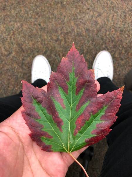 If These Are Not Cool, Then What Is?