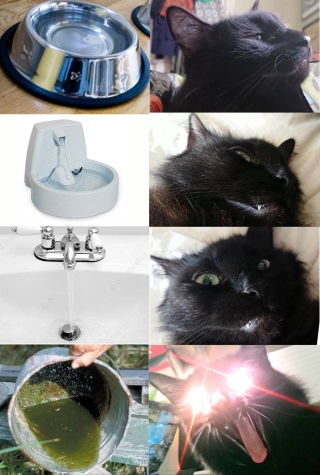 Funny Picdump
