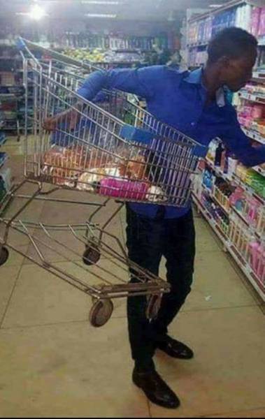 Funny Picdump