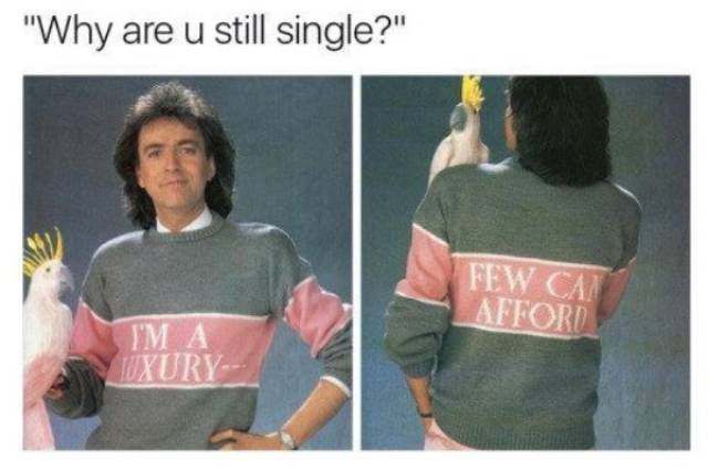 Singles Know How To Enjoy A Good Meme