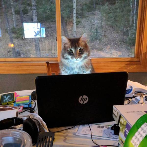 daily picdump 96 pics 4.html - 96 HD Photos | Premium Gallery 2018