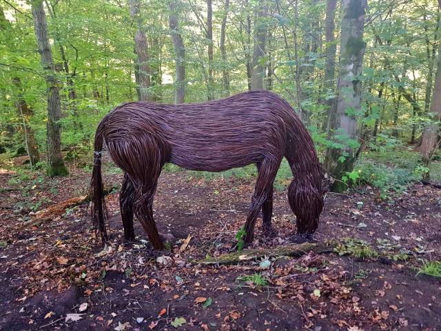 daily picdump 96 pics 4.html - 96 HD Photos | Premium Gallery 2018