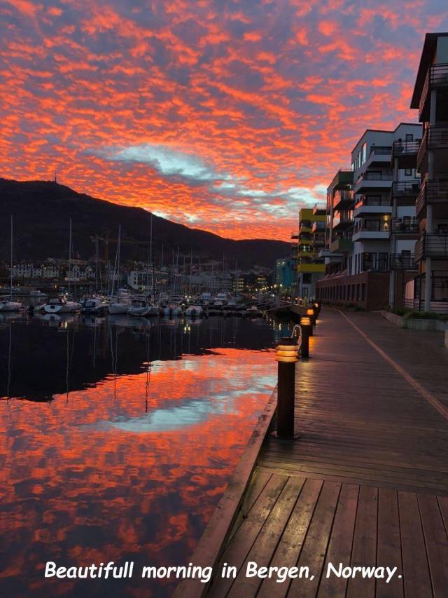 daily picdump 96 pics 4.html - 96 HD Photos | Premium Gallery 2018