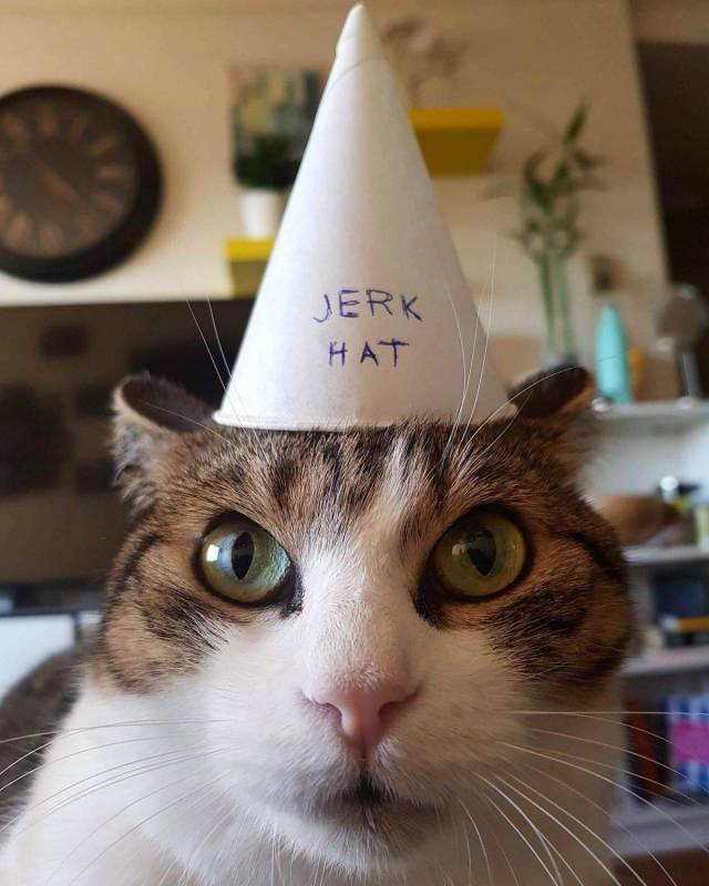 daily picdump 96 pics 4.html - 96 HD Photos | Premium Gallery 2018