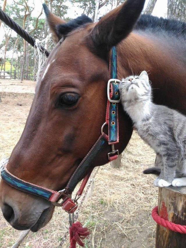 daily picdump 96 pics 4.html - 96 HD Photos | Premium Gallery 2018