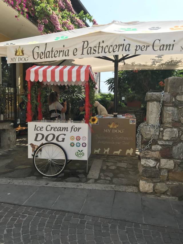 morning picdump 51 pics 7.html - 51 HD Photos | Premium Gallery 2018