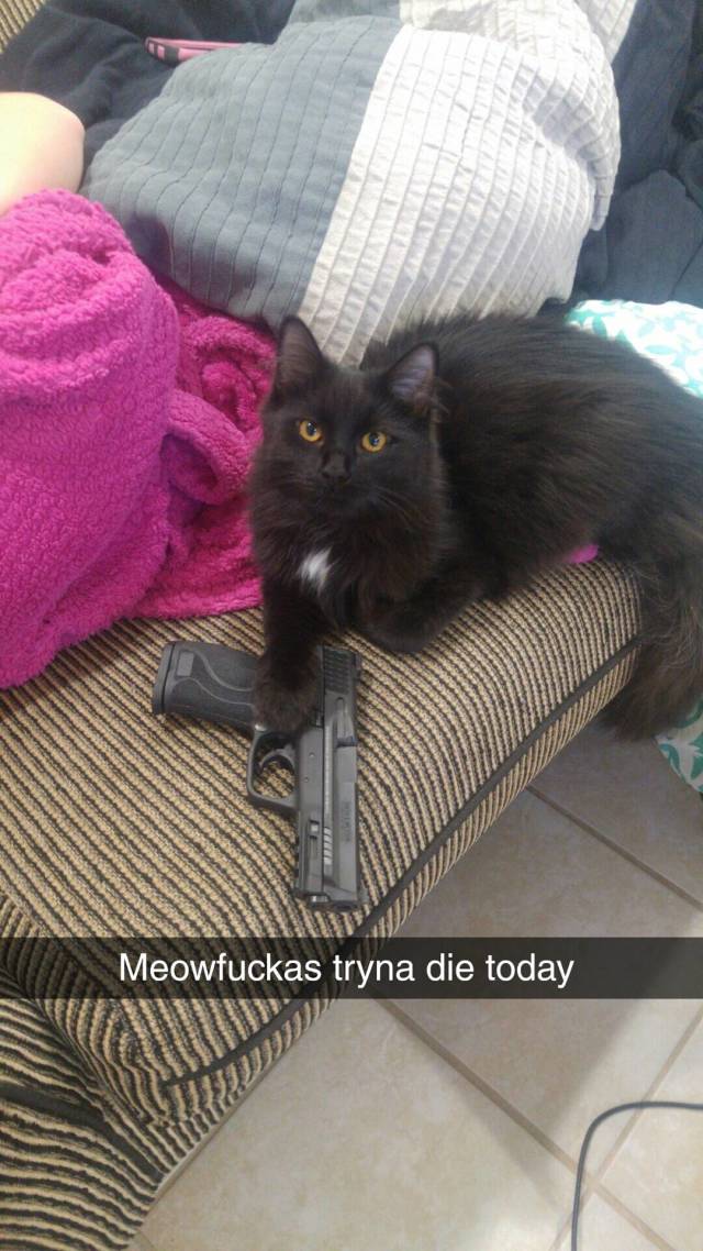 morning picdump 51 pics 7.html - 51 HD Photos | Premium Gallery 2018