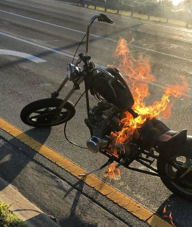 morning picdump 51 pics 7.html - 51 HD Photos | Premium Gallery 2018