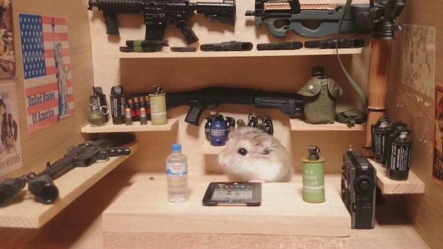 daily picdump 98 pics 9.html - 98 HD Photos | Premium Gallery 2018