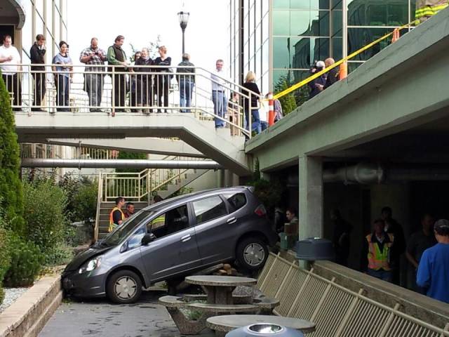 daily picdump 98 pics 9.html - 98 HD Photos | Premium Gallery 2018