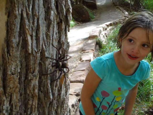 daily picdump 98 pics 9.html - 98 HD Photos | Premium Gallery 2018