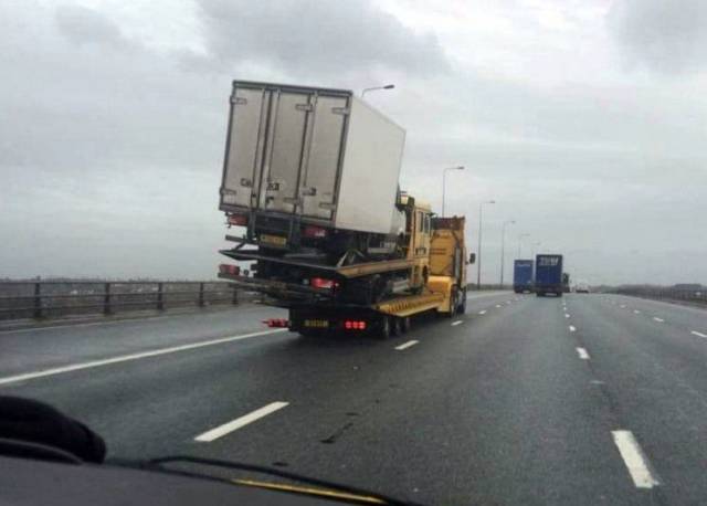 daily picdump 98 pics 9.html - 98 HD Photos | Premium Gallery 2018