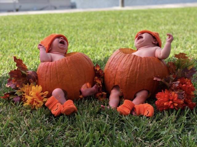 daily picdump 98 pics 9.html - 98 HD Photos | Premium Gallery 2018