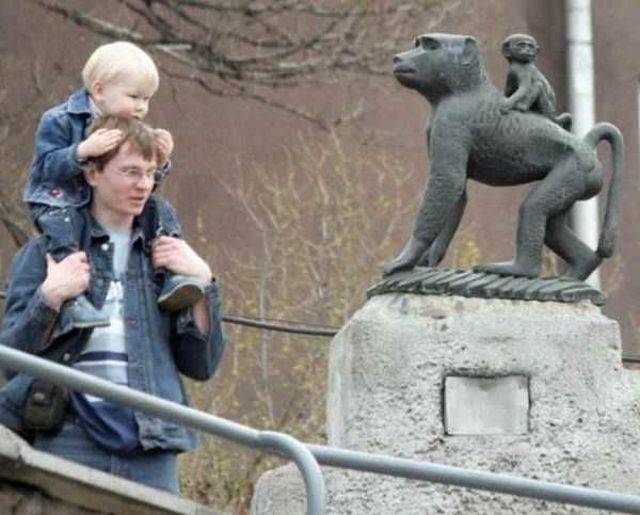 daily picdump 98 pics 9.html - 98 HD Photos | Premium Gallery 2018