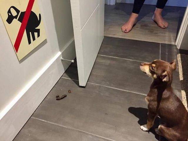 daily picdump 98 pics 9.html - 98 HD Photos | Premium Gallery 2018