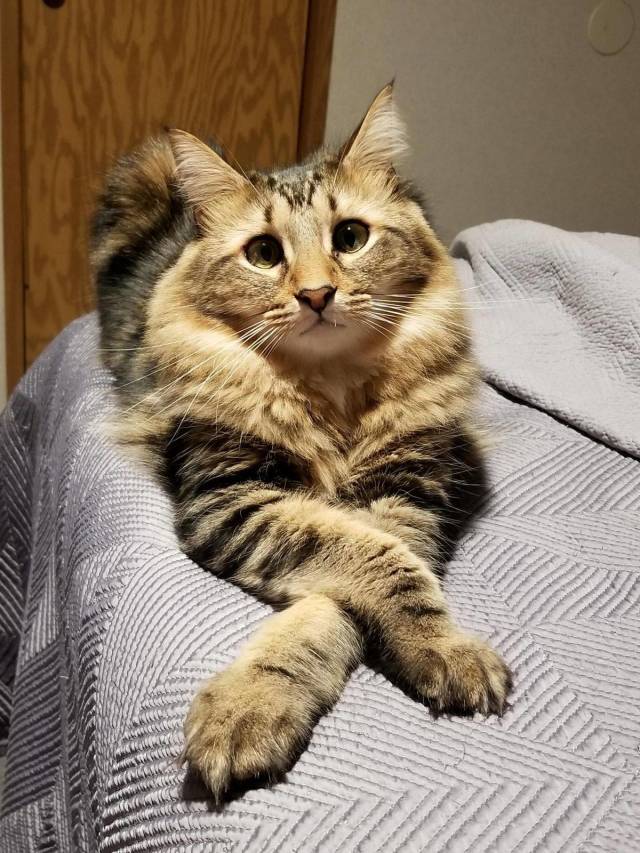 daily picdump 98 pics 9.html - 98 HD Photos | Premium Gallery 2018