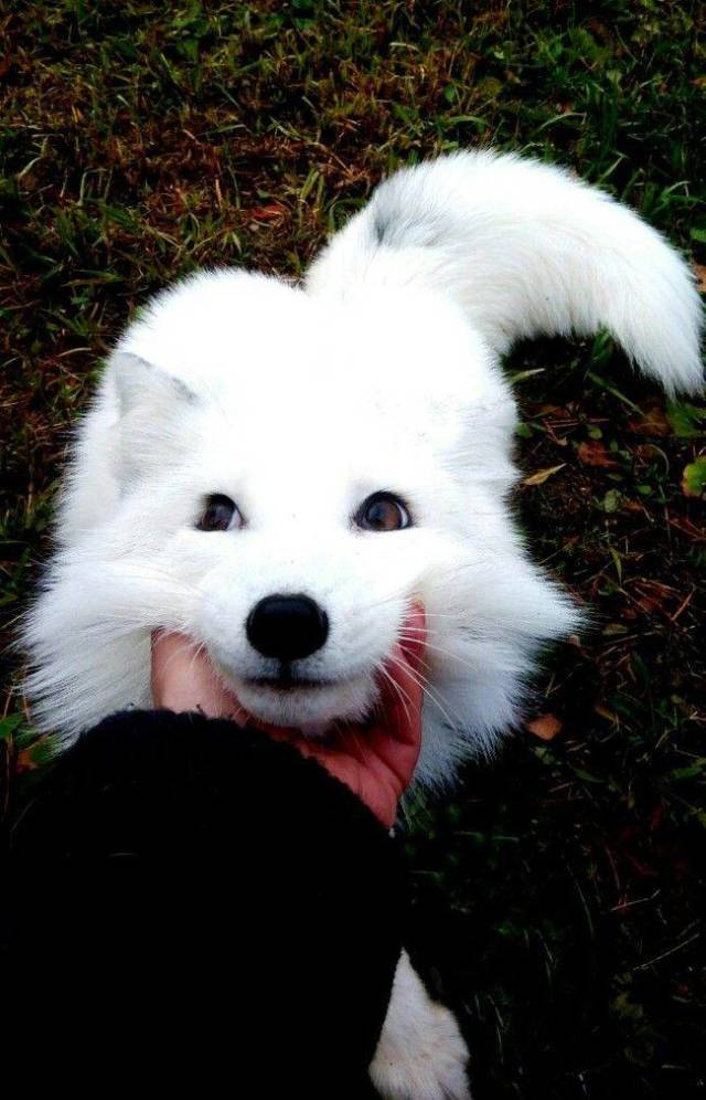 daily picdump 98 pics 9.html - 98 HD Photos | Premium Gallery 2018